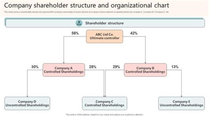 Can a C Corp be a shareholder in an S Corp?