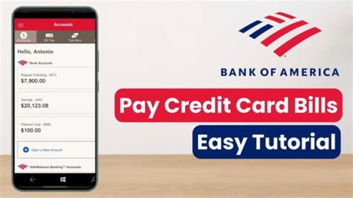 Can I use my business account to pay my credit card?