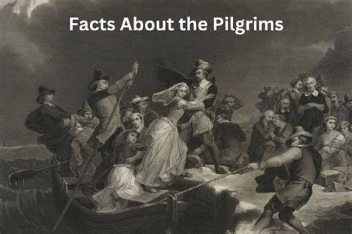 Did the pilgrims have animals?