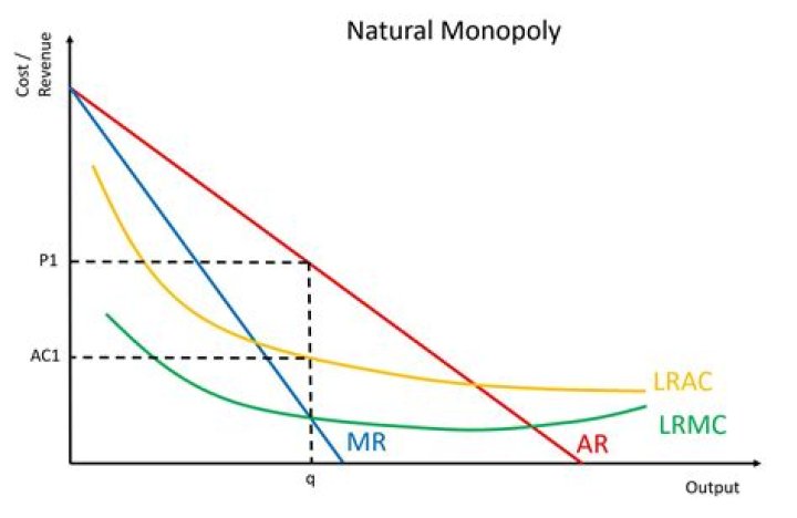 How can a natural monopoly be regulated?