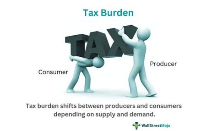 How do you calculate tax burden on a seller?