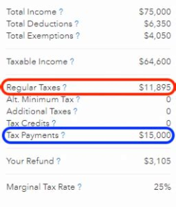 How do you know how much your getting back on your tax return?