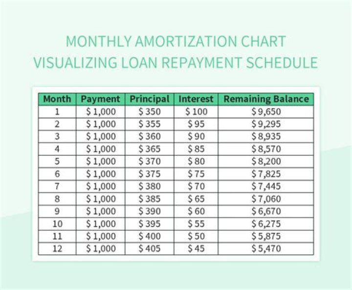 How does an amortization schedule work for repayment?