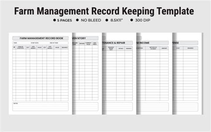 How long do accountants have to keep records for?