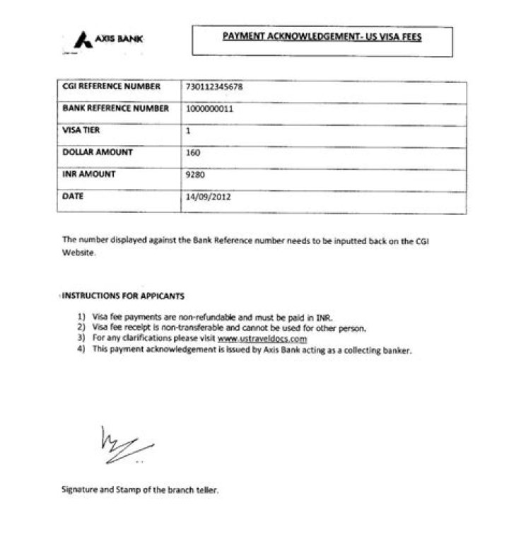 How long it will take to activate US visa fee?