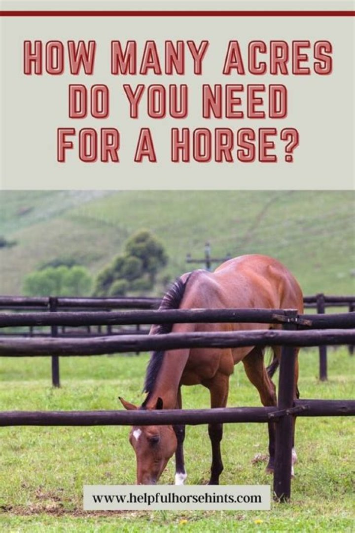 How many acres do you need for a horse farm?