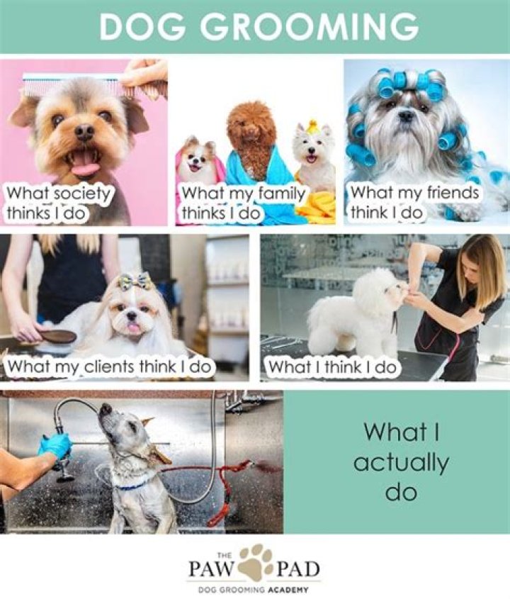 How much can you make with your own dog grooming business?