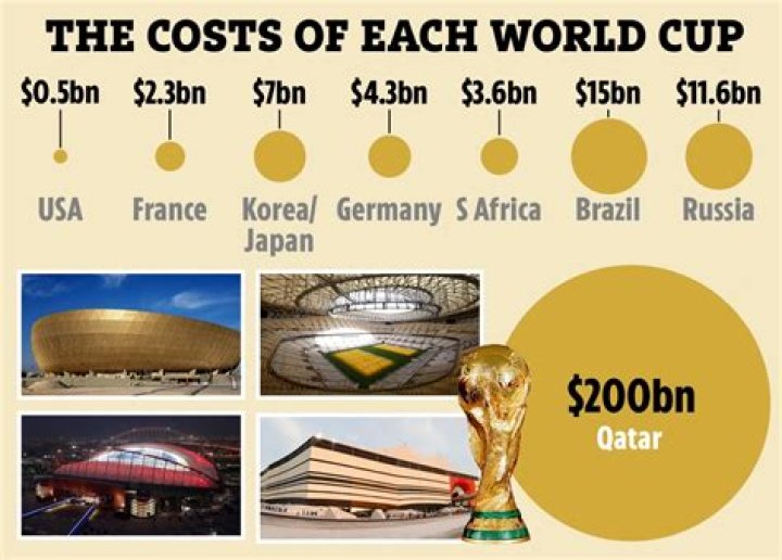 How much did the 2010 World Cup cost?