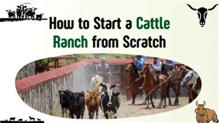 How profitable is a cattle ranch?