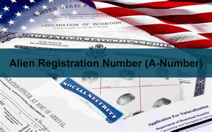 Is F 1 Visa resident alien?