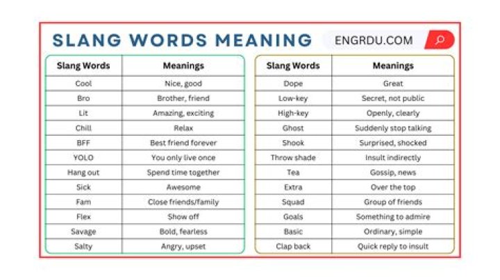 Is loo a slang word?