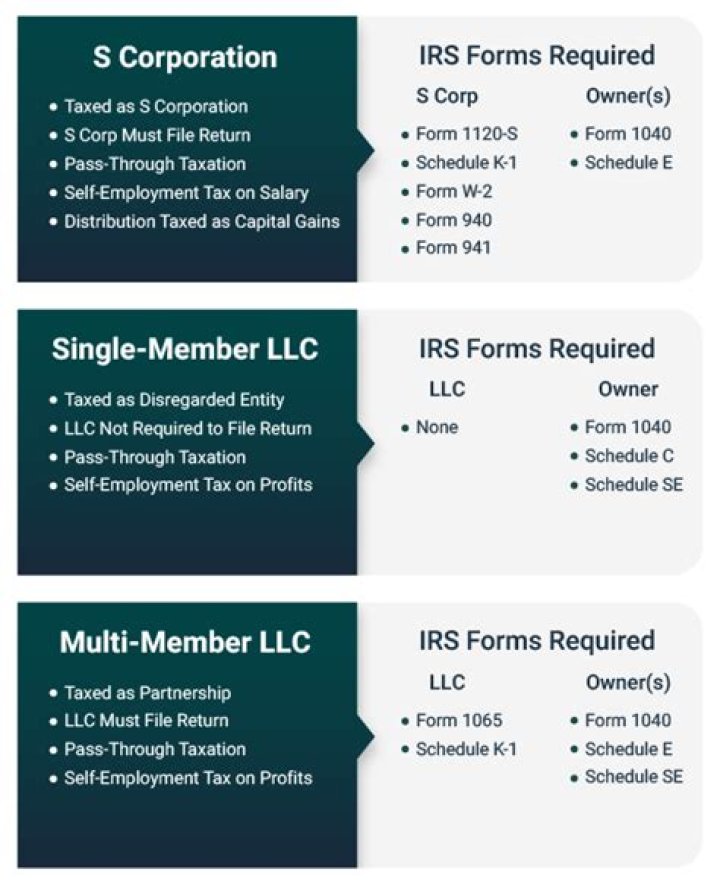 Is S Corp shareholder considered self-employed?