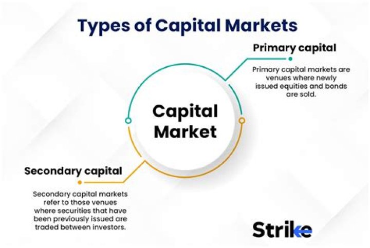 What are examples of capital markets?