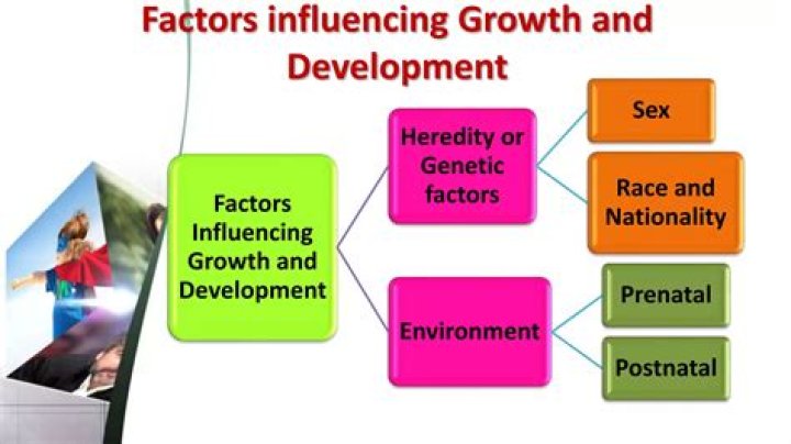 What are the factors responsible for development of IT industries?