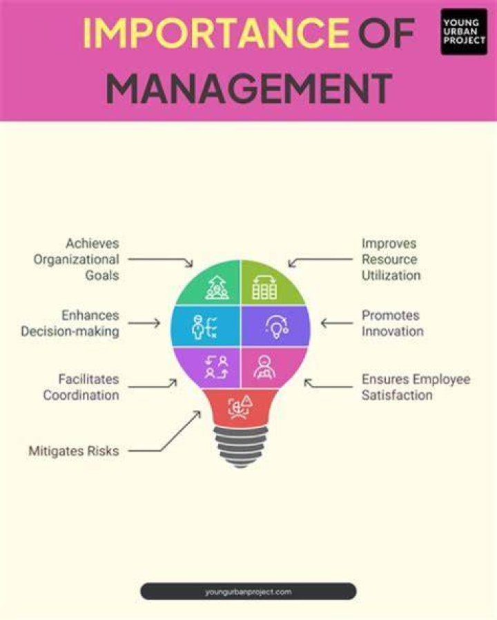 What are the objectives and importance of management?