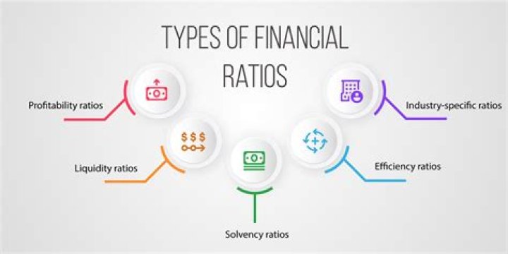 what-are-the-ratios-used-in-financial-analysis-the-daily-insight