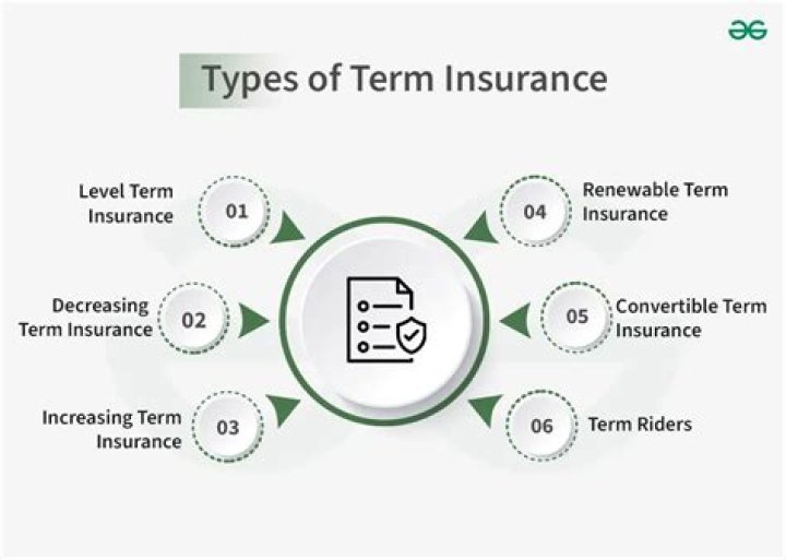What are the three types of term insurance?