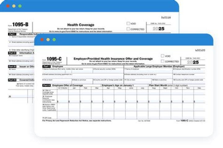 What does 2C mean on a 1095-C form?