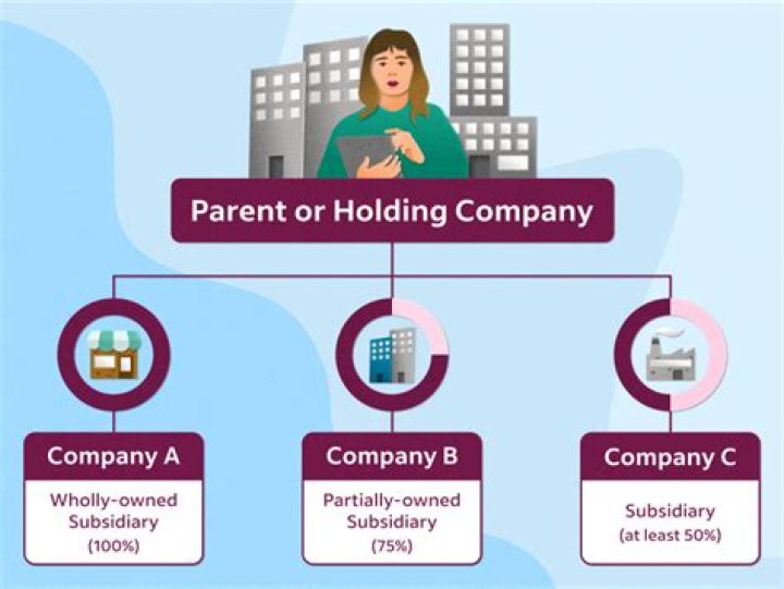 What does a holding firm do?