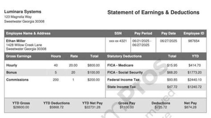 What does end of year Paystub mean?