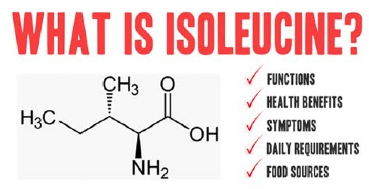 What does isoleucine stand for?