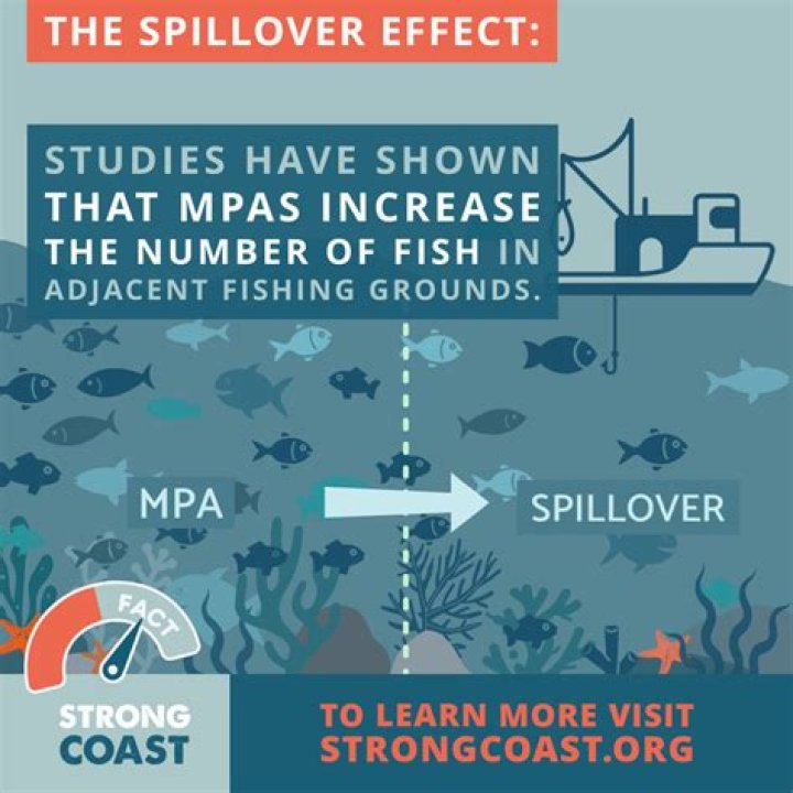 What does spillover mean in economics?