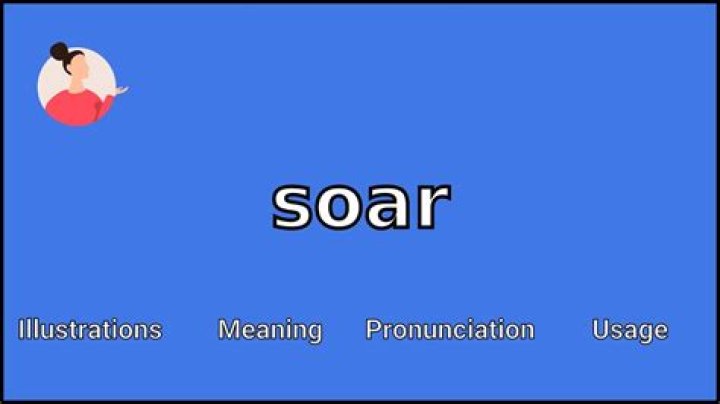 What does the SOAR program do?