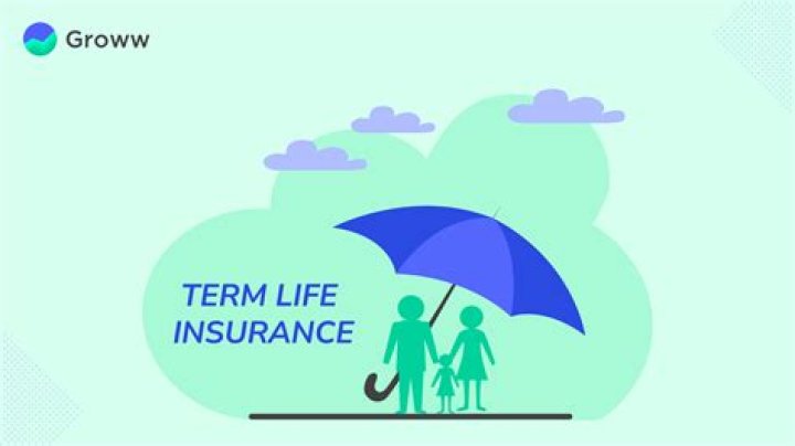 What happens to the money I paid for term life insurance?