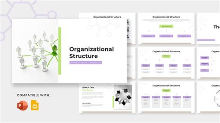 What is a 512 organization?