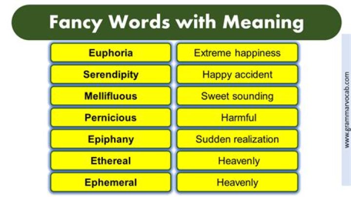 What is a fancy word for opinion?