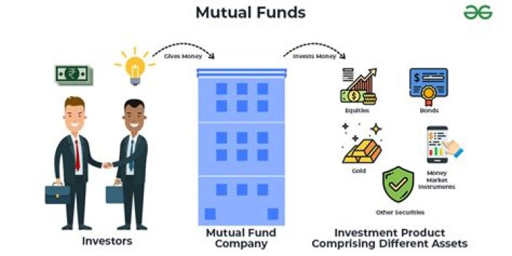 What is an accumulated fund in business?