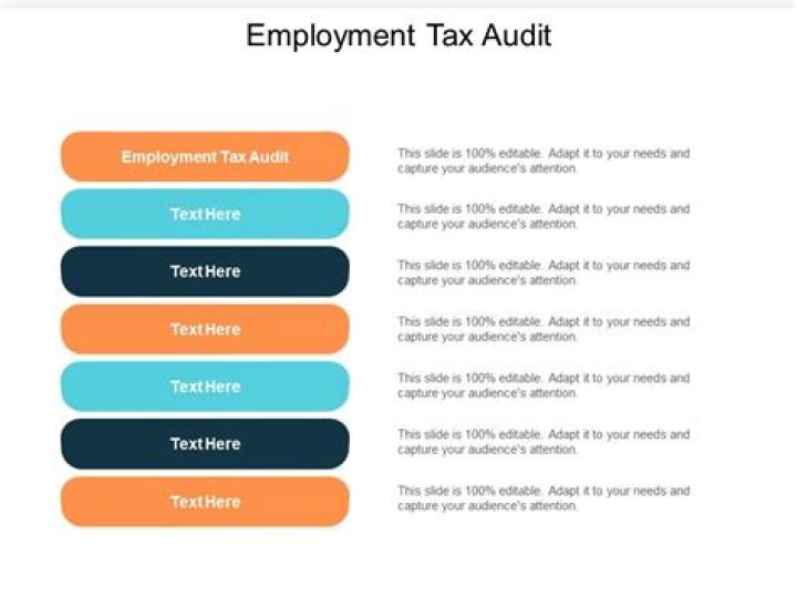 What is an employment tax audit?