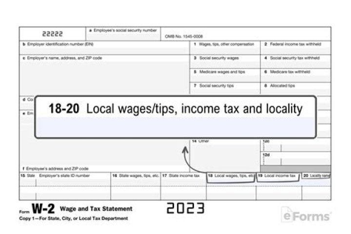 What is Box 20 on a W2?