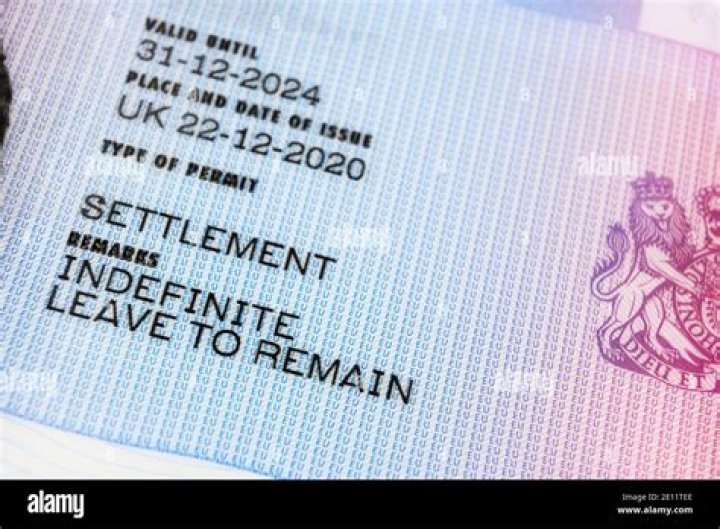 What is limited leave to remain in the UK?