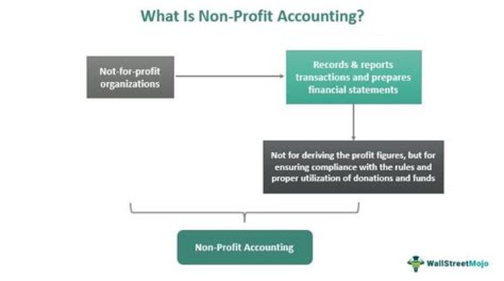 What is non profit accounting?