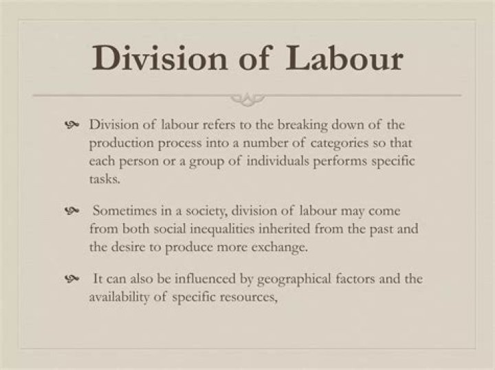 What is specialization and division labour?