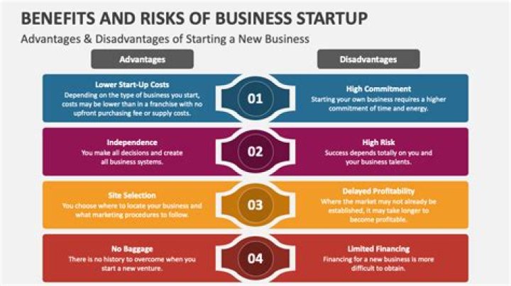 What is the biggest risk of starting a new business?