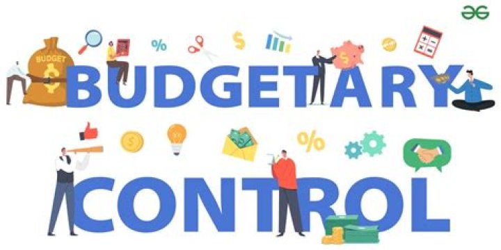 What is the importance of budgetary control?