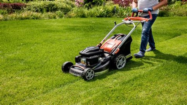 What is the meaning of mowing the lawn?