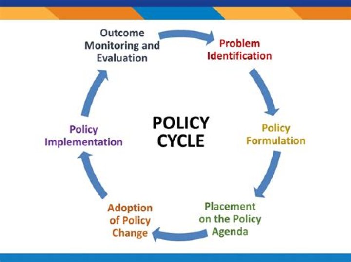 What is the policy cycle?