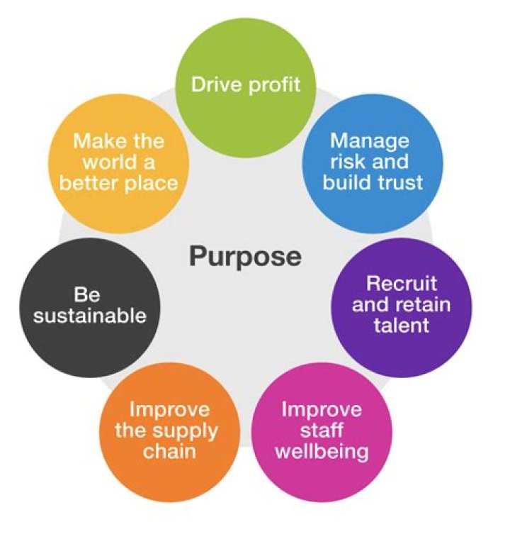 What is the purpose of a business school?