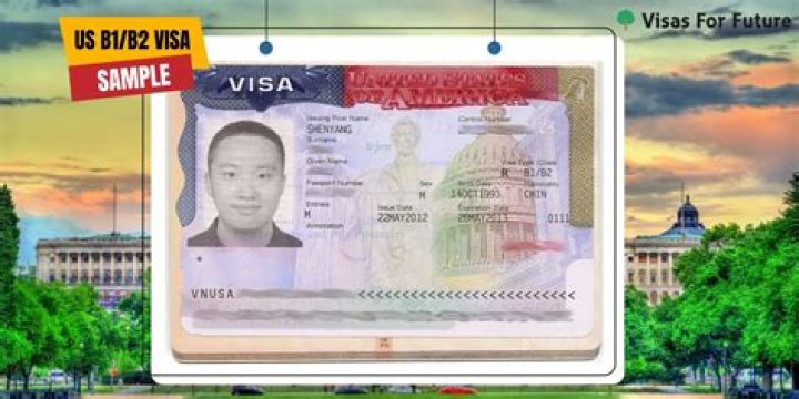 What is the purpose of B1 visa?