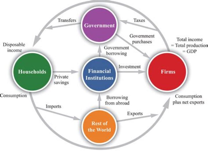 What is the role of government in financial system?