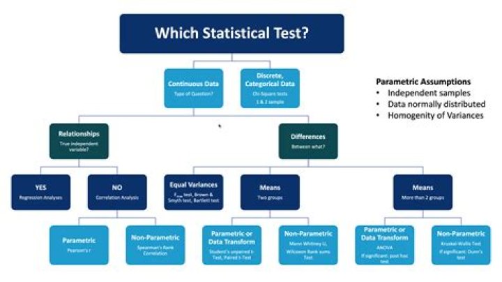 What is the use of statistical techniques?