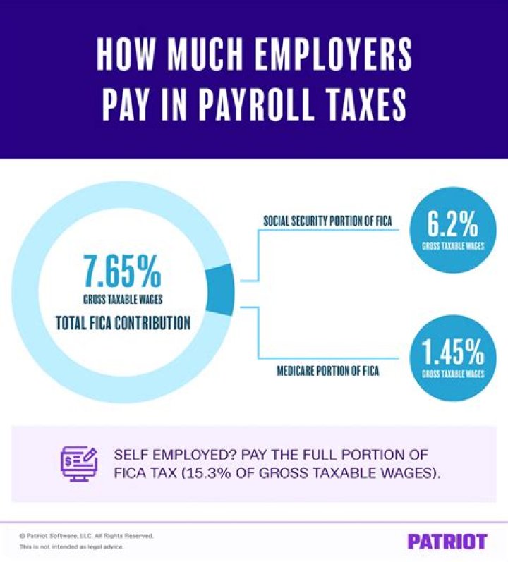 What percentage are employment taxes?