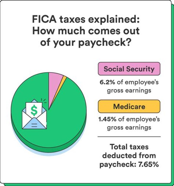 What percentage of my paycheck is federal taxes?