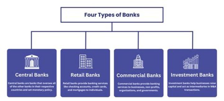 What services do central banks provide?