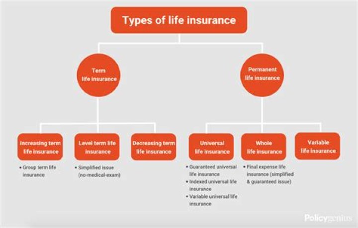 What type of insurance is 65 life?