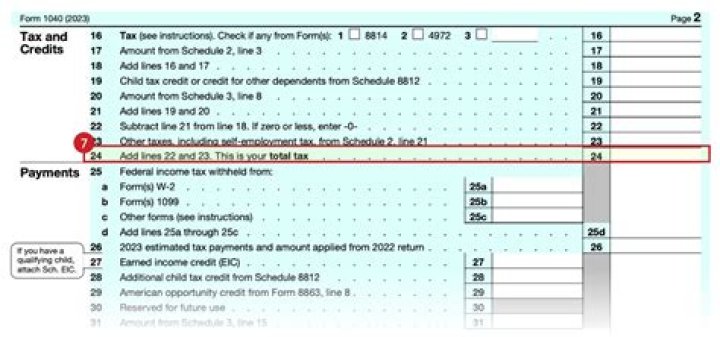 Where to report foreign earned income on your US tax return?