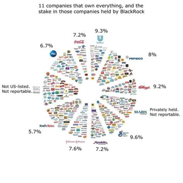 Which business is owned by stockholders?